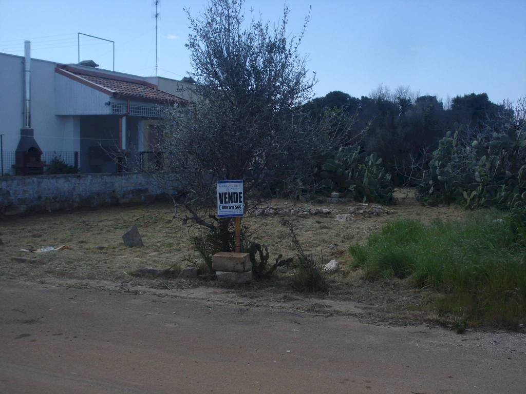 Terreno - Terreno edificabile strada Comunale Occhio Chiuso, 159, Racale - foto 1