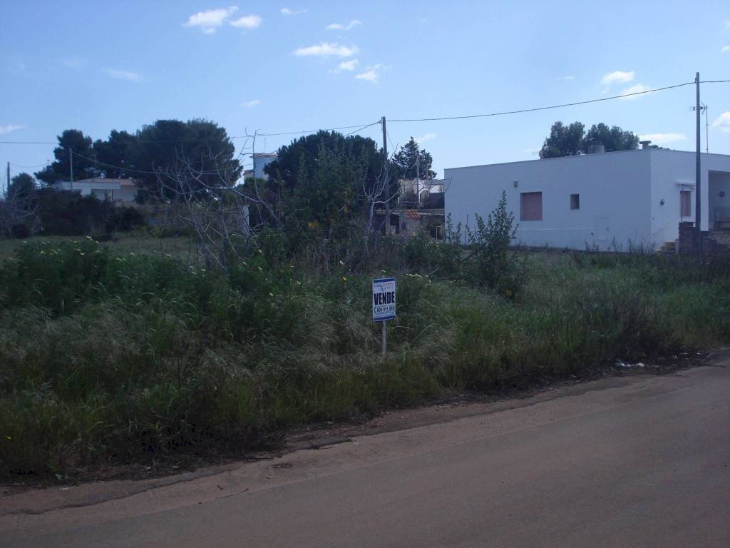 Terreno - Terreno edificabile strada Comunale Occhio Chiuso, 159, Racale - foto 3