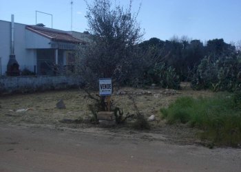 Terreno - Terreno edificabile strada Comunale Occhio Chiuso, 159, Racale - foto 1