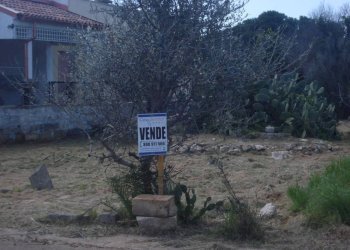 Terreno - Terreno edificabile strada Comunale Occhio Chiuso, 159, Racale - foto 2