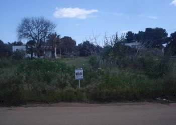 Terreno - Terreno edificabile strada Comunale Occhio Chiuso, 159, Racale - foto 4