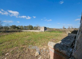 Terreno - Rustic contrada Fabbrica, Alezio - photo 19