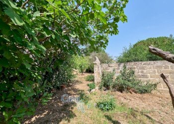 Terreno - Independent house via Roma, Alezio - photo 11