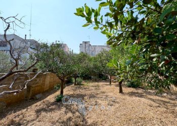 Terreno - Independent house via Roma, Alezio - photo 14