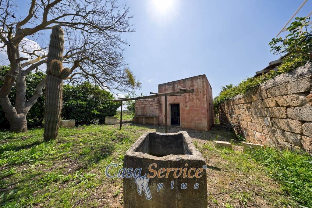 Terreno - Terreno agricolo via Provinciale Per Alezio, Sannicola - foto 3