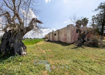 Terreno - Agricultural land via Provinciale Per Alezio, Sannicola - photo 16