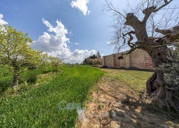 Terreno - Agricultural land via Provinciale Per Alezio, Sannicola - photo 17