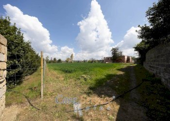 Terreno - Agricultural land via Provinciale Per Alezio, Sannicola - photo 19