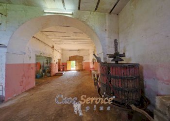 Magazzino - Agricultural land via Provinciale Per Alezio, Sannicola - photo 24