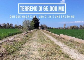 Terreno - Agricultural land via Provinciale Per Alezio, Sannicola - photo 25