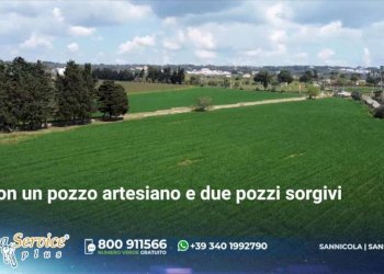 Terreno - Agricultural land via Provinciale Per Alezio, Sannicola - photo 26