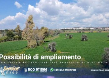 Terreno - Agricultural land via Provinciale Per Alezio, Sannicola - photo 27