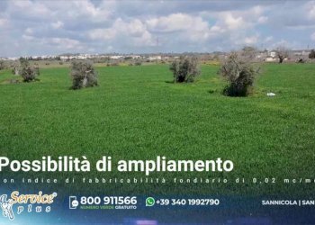Terreno - Agricultural land via Provinciale Per Alezio, Sannicola - photo 28
