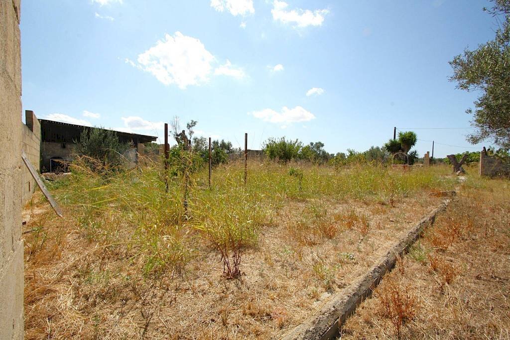 Terreno - Building land strada Vicinale di Calori, Matino - photo 3