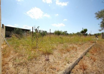 Terreno - Building land strada Vicinale di Calori, Matino - photo 3