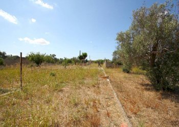 Terreno - Building land strada Vicinale di Calori, Matino - photo 4