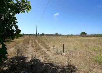 Terreno - Building land strada Vicinale di Calori, Matino - photo 6