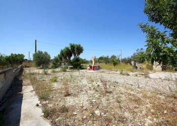 Terreno - Building land strada Vicinale di Calori, Matino - photo 14