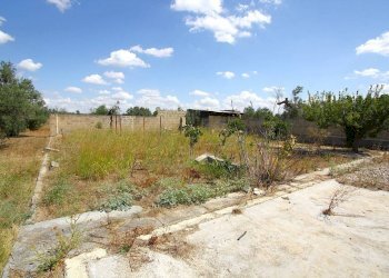 Terreno - Building land strada Vicinale di Calori, Matino - photo 16