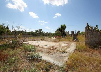 Terreno - Building land strada Vicinale di Calori, Matino - photo 18