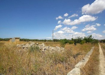 Terreno - Building land strada Vicinale di Calori, Matino - photo 22