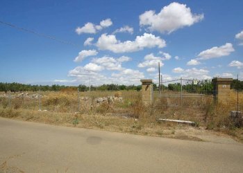 Terreno - Building land strada Vicinale di Calori, Matino - photo 24