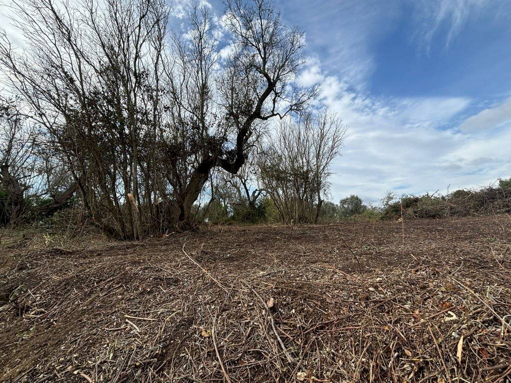 Terreno - Villa via Roma, Cutrofiano - foto 2