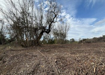 Terreno - Villa via Roma, Cutrofiano - foto 2