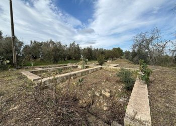 Terreno - Villa via Roma, Cutrofiano - foto 3