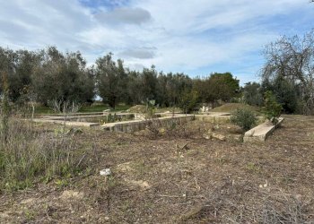 Terreno - Villa via Roma, Cutrofiano - foto 4