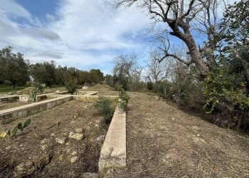 Terreno - Villa via Roma, Cutrofiano - foto 5