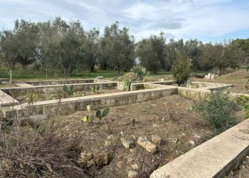Terreno - Villa via Roma, Cutrofiano - foto 8