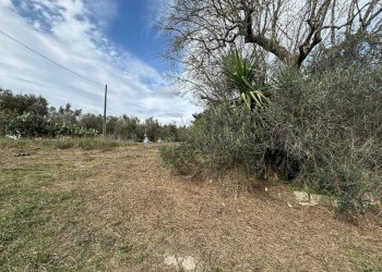 Terreno - Villa via Roma, Cutrofiano - foto 9