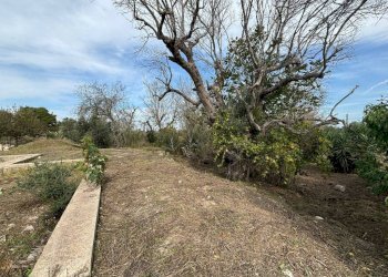 Terreno - Villa via Roma, Cutrofiano - foto 11