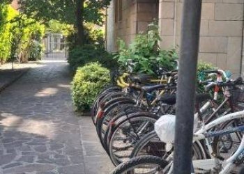 Giardino - Appartamento via Giuseppe Mazzini, 50, Bologna (zona Massarenti) - foto 33