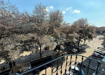 Vista - Three-room apartment corso Giulio Cesare, 23, Torino (neighborhood Aurora) - photo 4