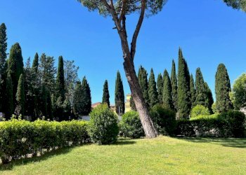 Giardino - Two-room apartment via Aurelia, 480, Roma - photo 6