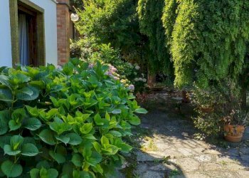 giardino - Appartamento via Traforo, 17, Pino Torinese - foto 19