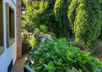 giardino - Appartamento via Traforo, 17, Pino Torinese - foto 21