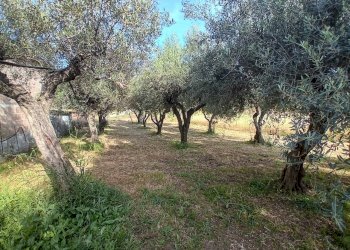 27 GIARDINO - Villa Contrada Cupa 55, Manoppello - photo 28