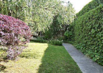 vendesi villa con terrazza giardino e garage doppi - Villa Via Borgo Giannotti 120, Lucca - foto 2