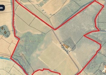 podere - Casale Via Rio Monteorsello 548, Valsamoggia - foto 4