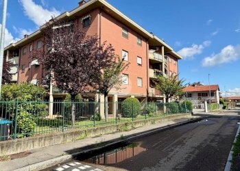 Quadrilocale Via Druento, Venaria Reale - foto 16
