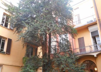 Appartamento Strada Maggiore, 70, Bologna (zona Centro Storico) - foto 9