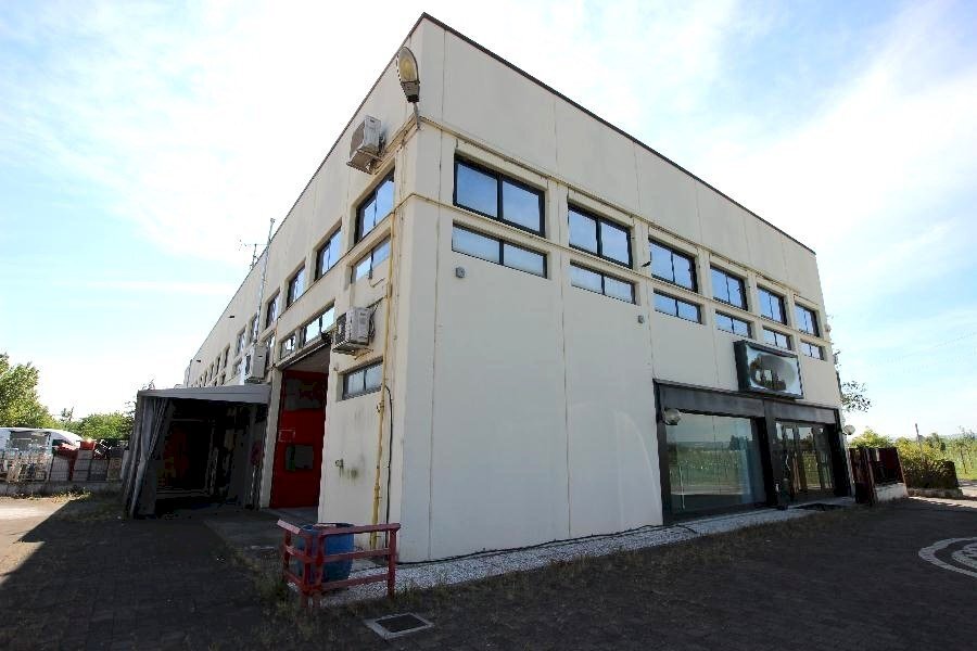 Capannone Calderara di Reno - foto 3