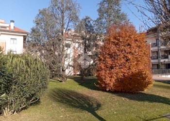 Box Piazzetta Caduti di Nassiriya, Corbetta - photo 4