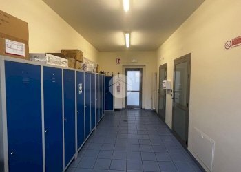 Capannone Via Caravaggio, Trinità - foto 15