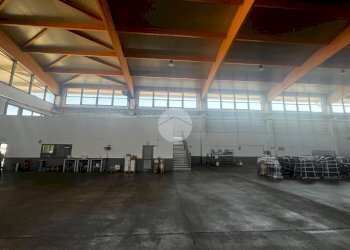 Capannone Via Caravaggio, Trinità - foto 18