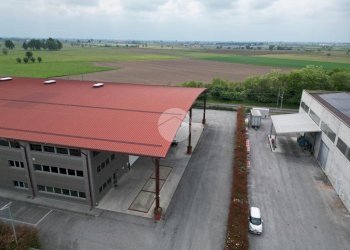 Capannone Via Caravaggio, Trinità - foto 41