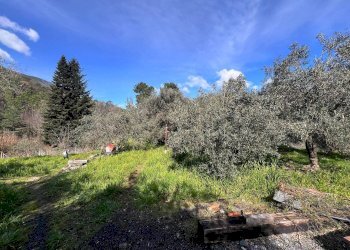 Single Family Villa Strada Provinciale Sud, Ceriana - photo 27